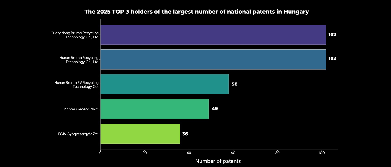 The chart of top 5 holders of the largest number of national patents in Hungary 2025