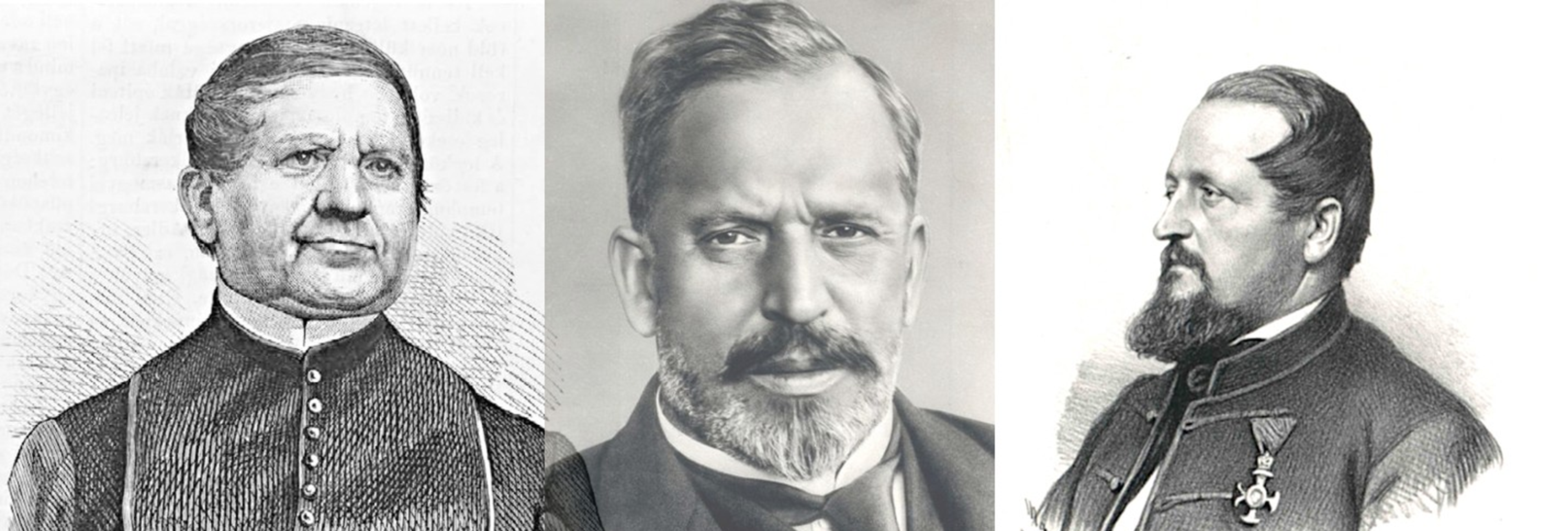 Történelem nagyjai Történelem nagyjainak mellkasrajza